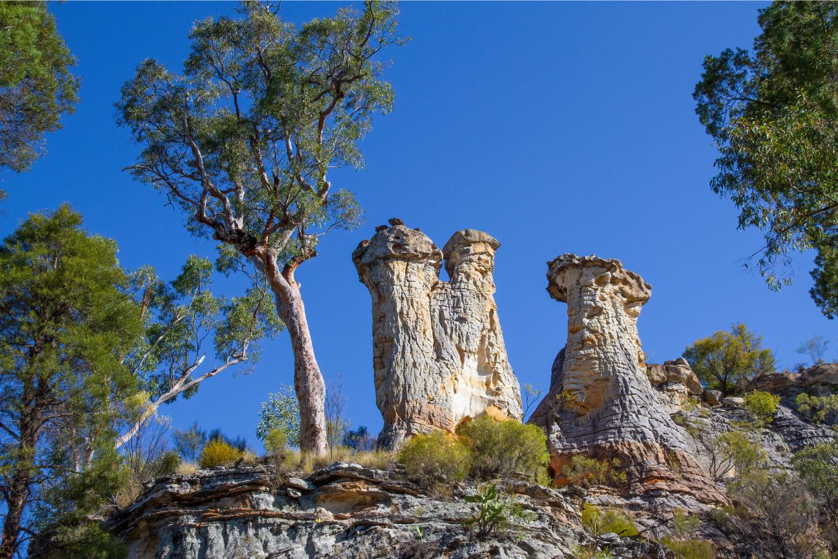 Windsor-Blog-Image-QLD-Road-Trip-1200x800-3.jpg Windsor-Blog-Image-QLD-Road-Trip-1200x800-3.jpg